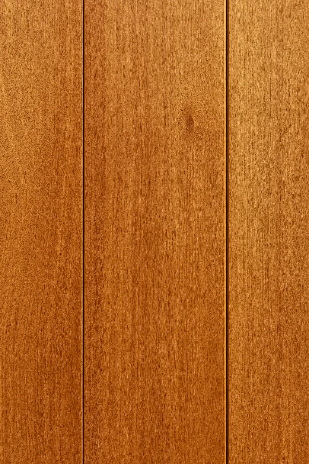 Stylised graphic of AI and human silhouettes connected by dynamic data lines on dark background