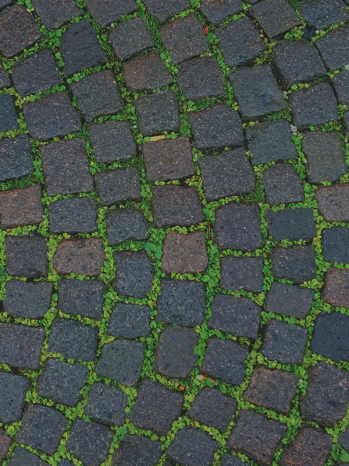 City night skyline photography used by Visionary Outdoor Solutions for creative concept inspiration