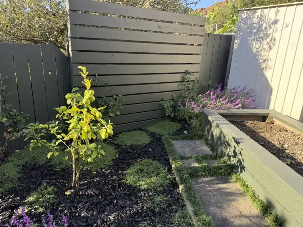Beautifully landscaped backyard by Visionary Outdoor Solutions — lush lawn, garden beds, and modern patio seating
